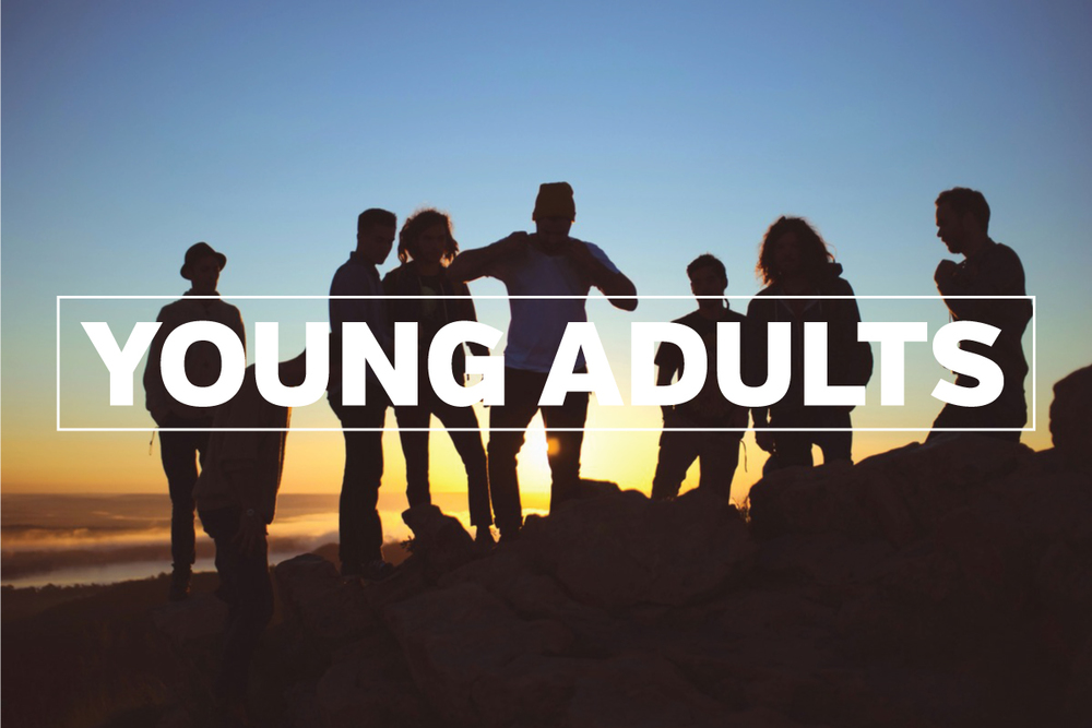 Image for Serving with Young Adults